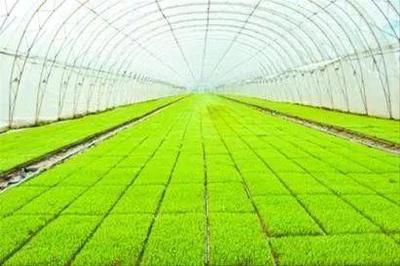 一文讀懂智慧農業 行業機會、發展模式、場景應用與未來路線