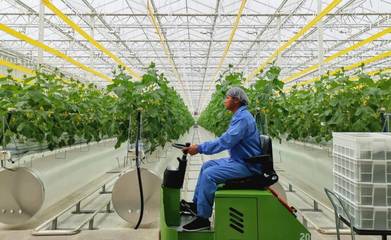 科技賦能農業生產經營，助力打造精彩難忘的花博盛會