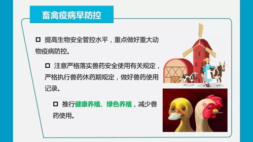 疫情防控期間強化農產品質量安全監管，嚴防禁用獸藥等風險隱患