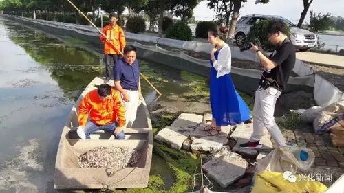 從央視到國家農業機構點贊 通威魚、海大魚、白蕉海鱸、興化大閘蟹，誰更勝一籌？