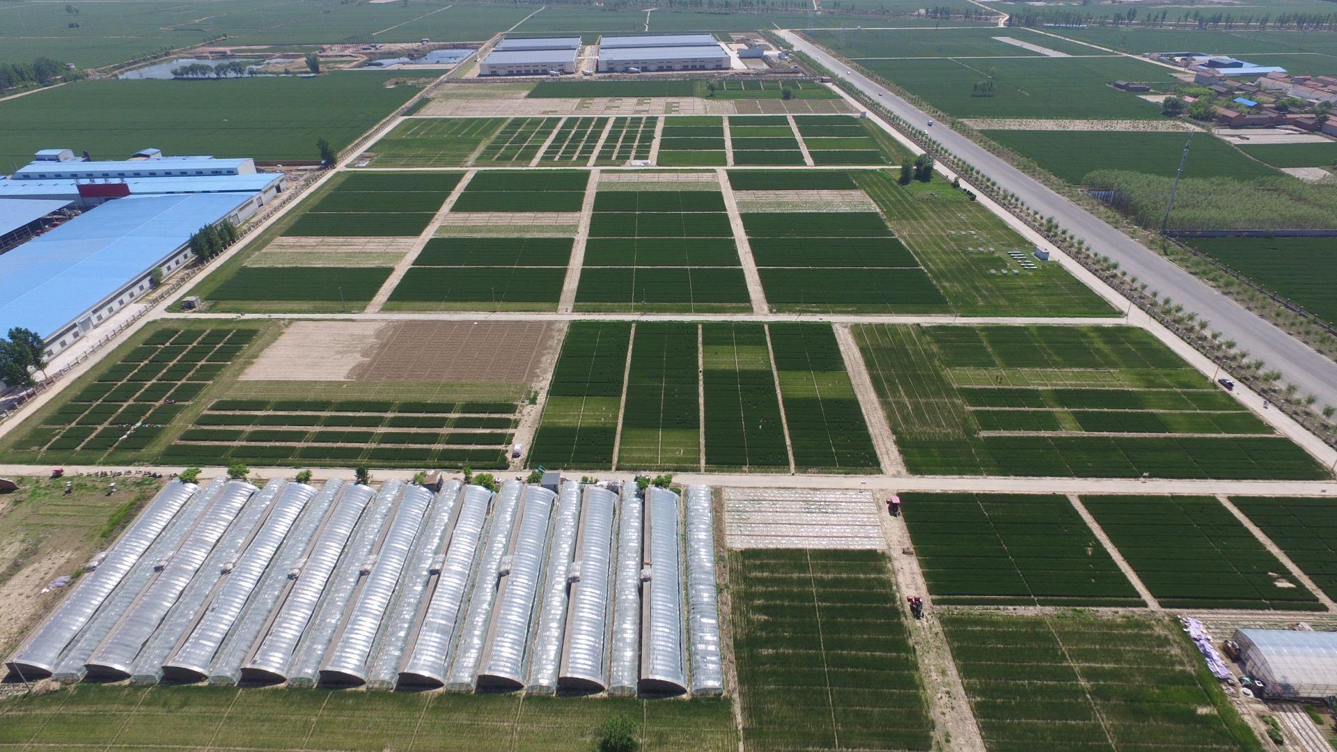 扎根大地育新人 農業技術革新引領愛國奮斗新篇章