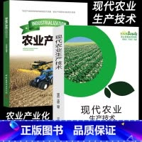 小麥農業生產經營關鍵技術解析